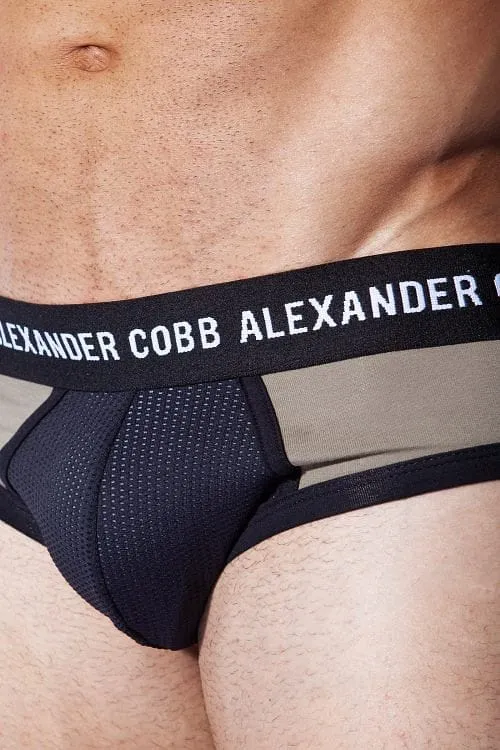 ALEXANDER COBB VAAL BRIEFS