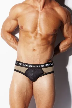 ALEXANDER COBB VAAL BRIEFS