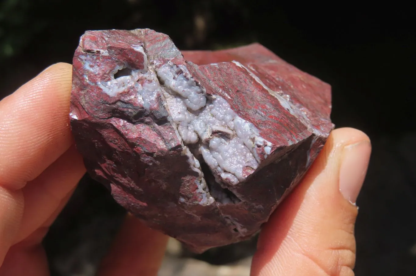 Natural Red Jasper Specimens x 8 From Northern Cape, South Africa