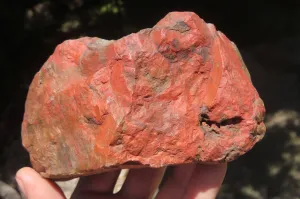 Natural Red Jasper Specimens x 8 From Northern Cape, South Africa