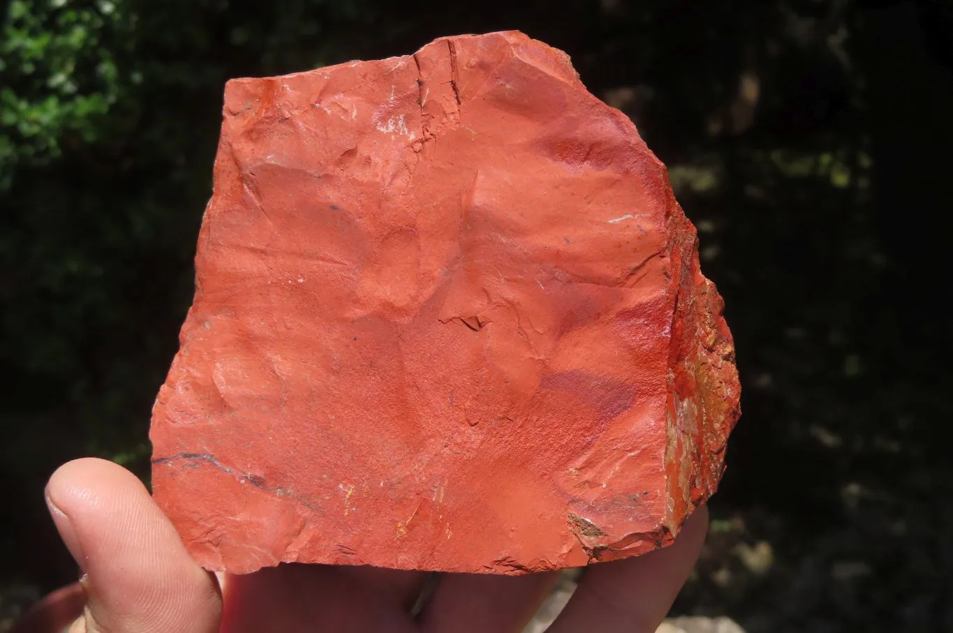 Natural Red Jasper Specimens x 8 From Northern Cape, South Africa