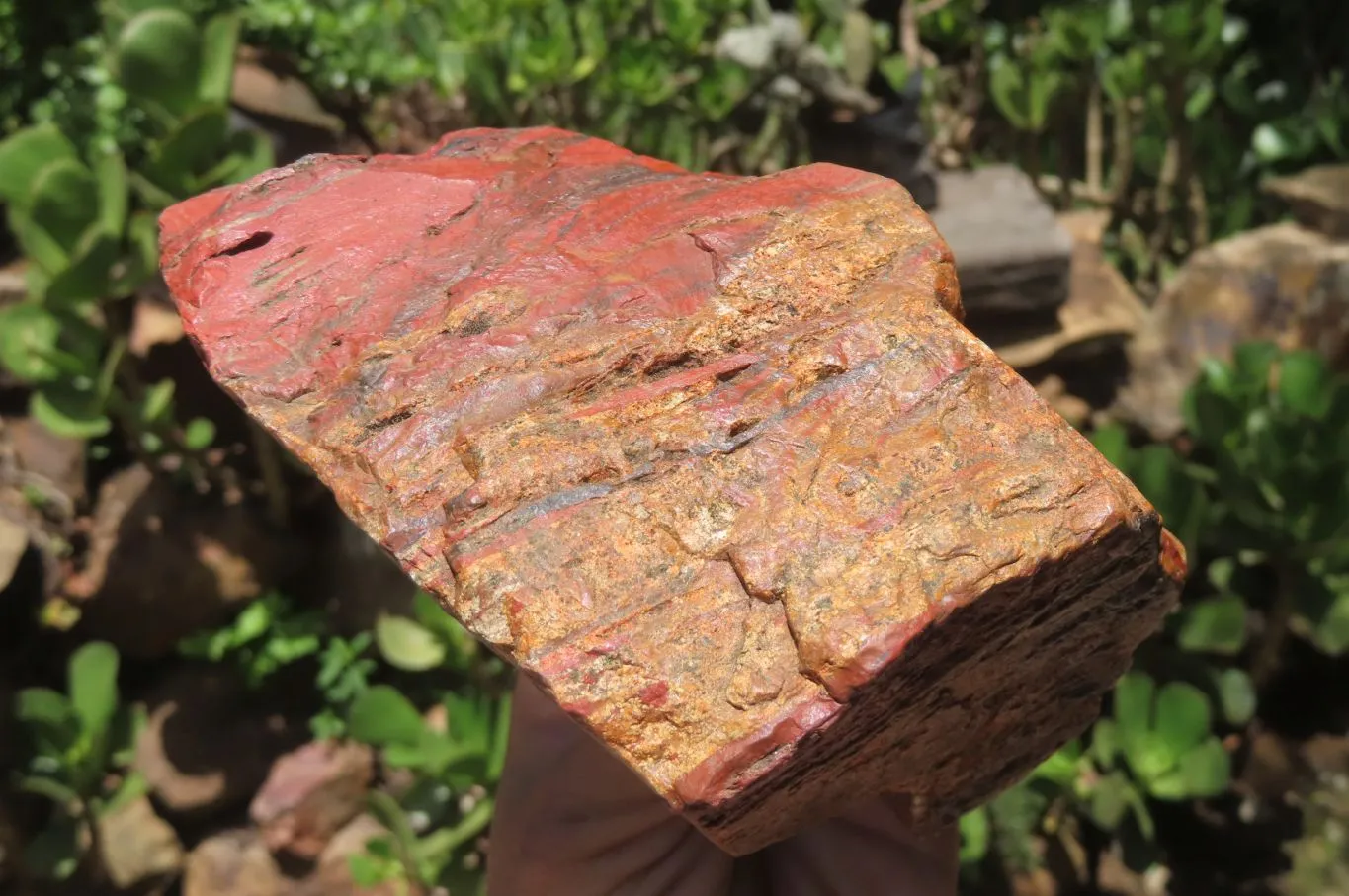 Natural Red Jasper Specimens x 8 From Northern Cape, South Africa