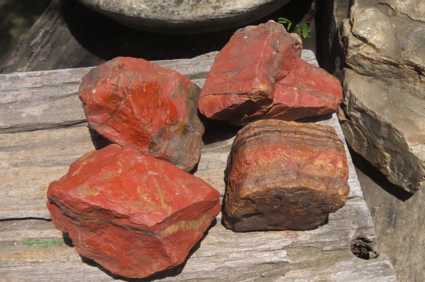 Natural Red Jasper Specimens x 8 From Northern Cape, South Africa