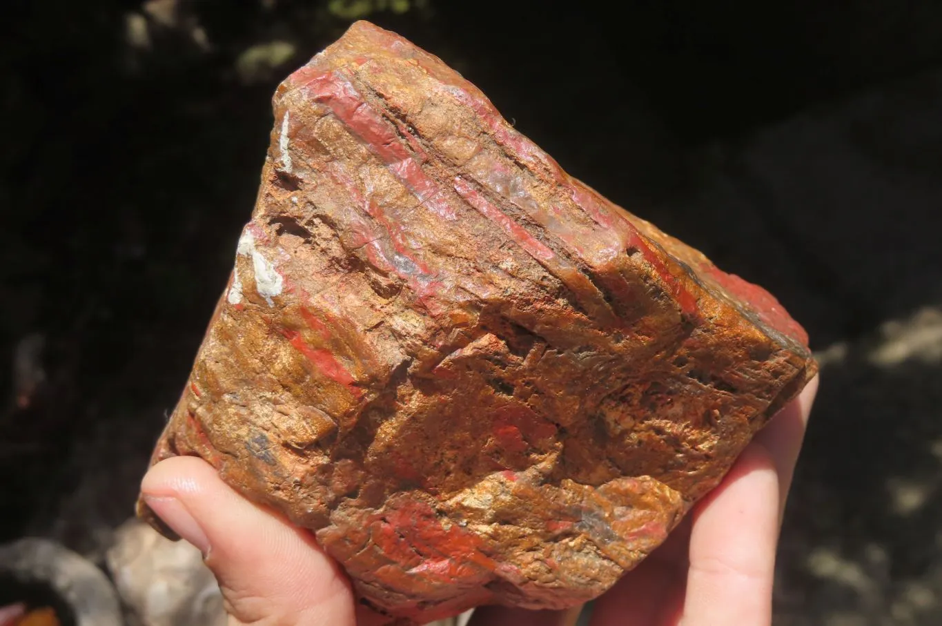 Natural Red Jasper Specimens x 8 From Northern Cape, South Africa