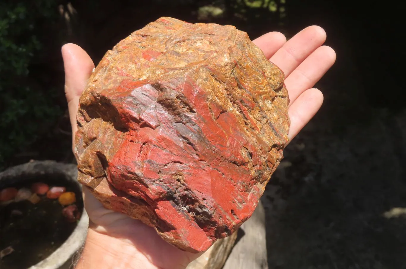 Natural Red Jasper Specimens x 8 From Northern Cape, South Africa