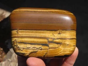 Polished Golden Tigers Eye Free Forms x 2 From Prieska, Northern Cape
