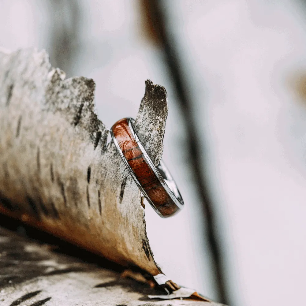 The Chestnut | 8MM